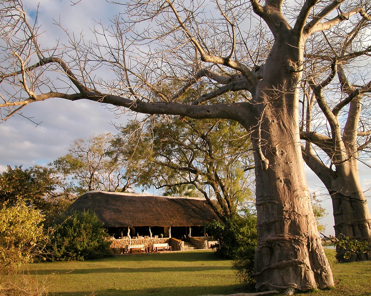 Mvuu Camp/Lodge