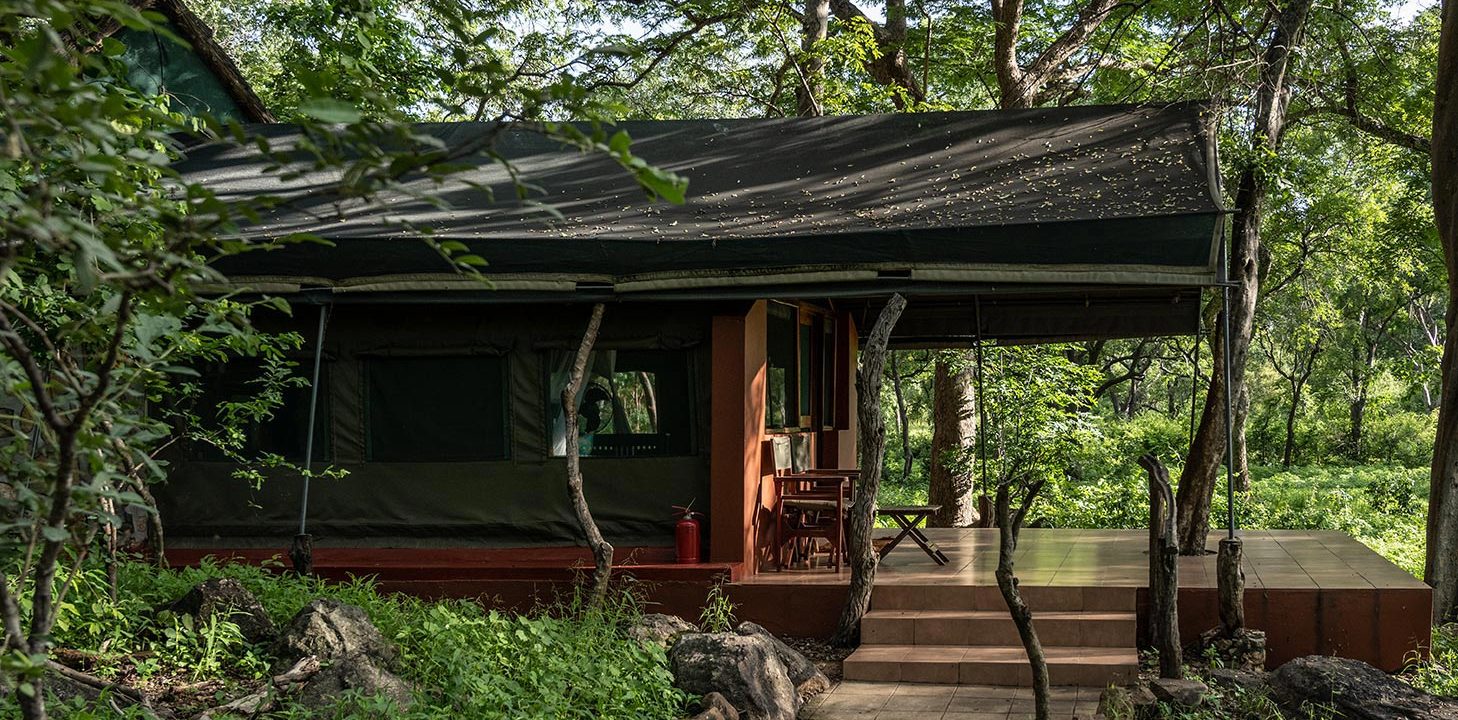 Luxury tent at Thawale Camp Within the Majete Wildlife Reserve.